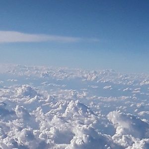 Meet your Posher, Jack